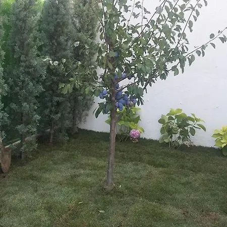 Akar Yalova Villas * Yalova (Yalova)